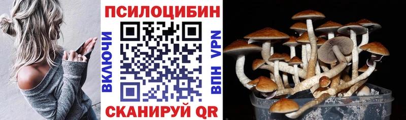 магазин Боровичи Галлюциногенные грибы мицелий